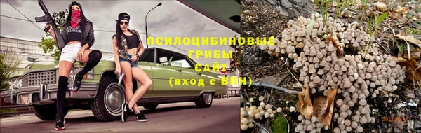 спайс Баксан