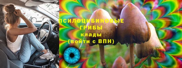 трава Балахна