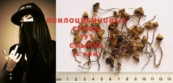 трава Балахна