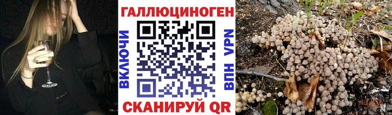 Псилоцибиновые грибы Magic Shrooms  Бодайбо 